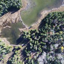 environmental project