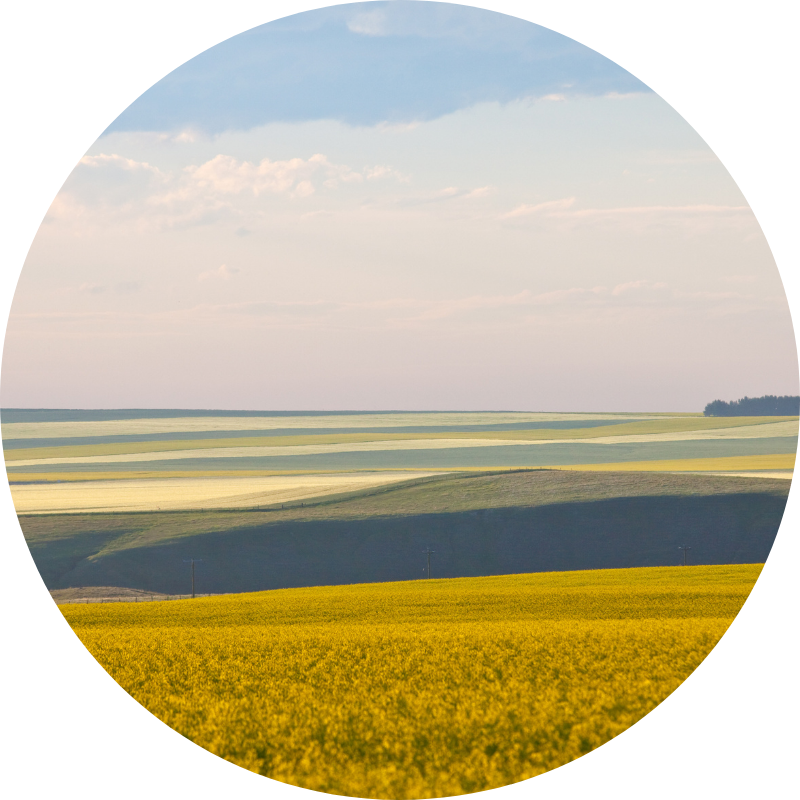 Grande Prairie (MPE)