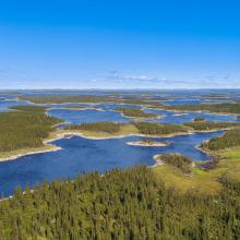 Landscape view of a river and forests