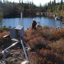 Employees working alongside a riverbank in fall