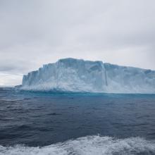 Iceberg