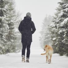 person walking in a wintery forest with a dog