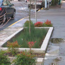 Self-contained rain gardens on urban sidewalks