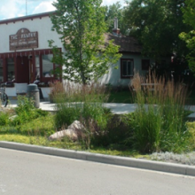 Biorentention along the main street of the Village of Alix