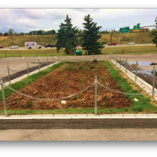 Garden in parking lot