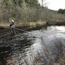 Brooke Davison walking through a river doing water sampling