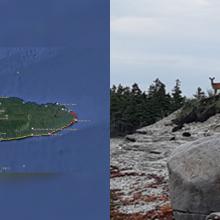 left image is a map of Marion Richard's walking course. on the right is a photo of a mountain goat