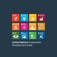 UN SDGs