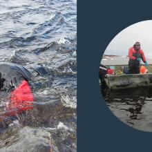 Left: Steve Chevarie scuba diving. Right: Englobe environmental team members working on a boat