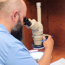 picture of Anthony Allard - concrete pathology analysis with microscope