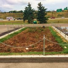 Rectangular landscaped bioretention area in a parking lot, bordered by chains and posts, with mulch-covered soil, low vegetation, and surrounding asphalt pavement.