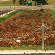 Rectangular landscaped bioretention area in a parking lot, bordered by chains and posts, with mulch-covered soil, low vegetation, and surrounding asphalt pavement.
